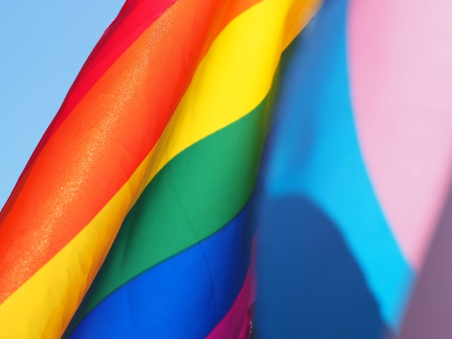 close up of pride and trans flags