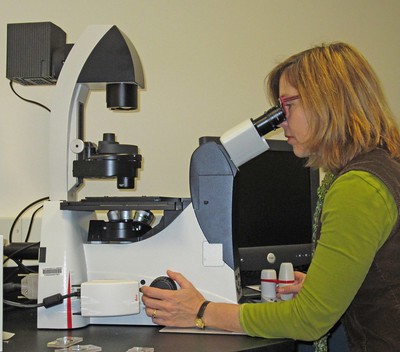 A scientist working in a lab