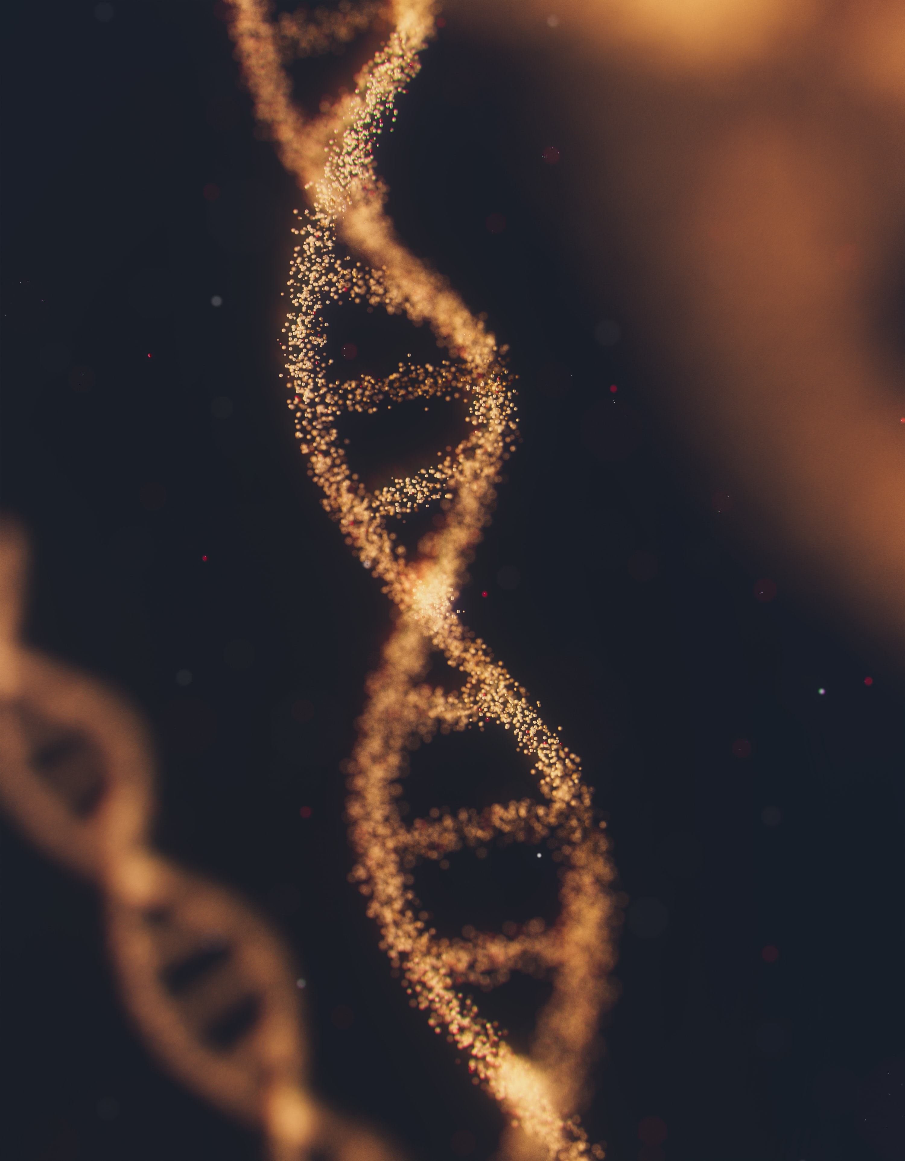 Image of DNA