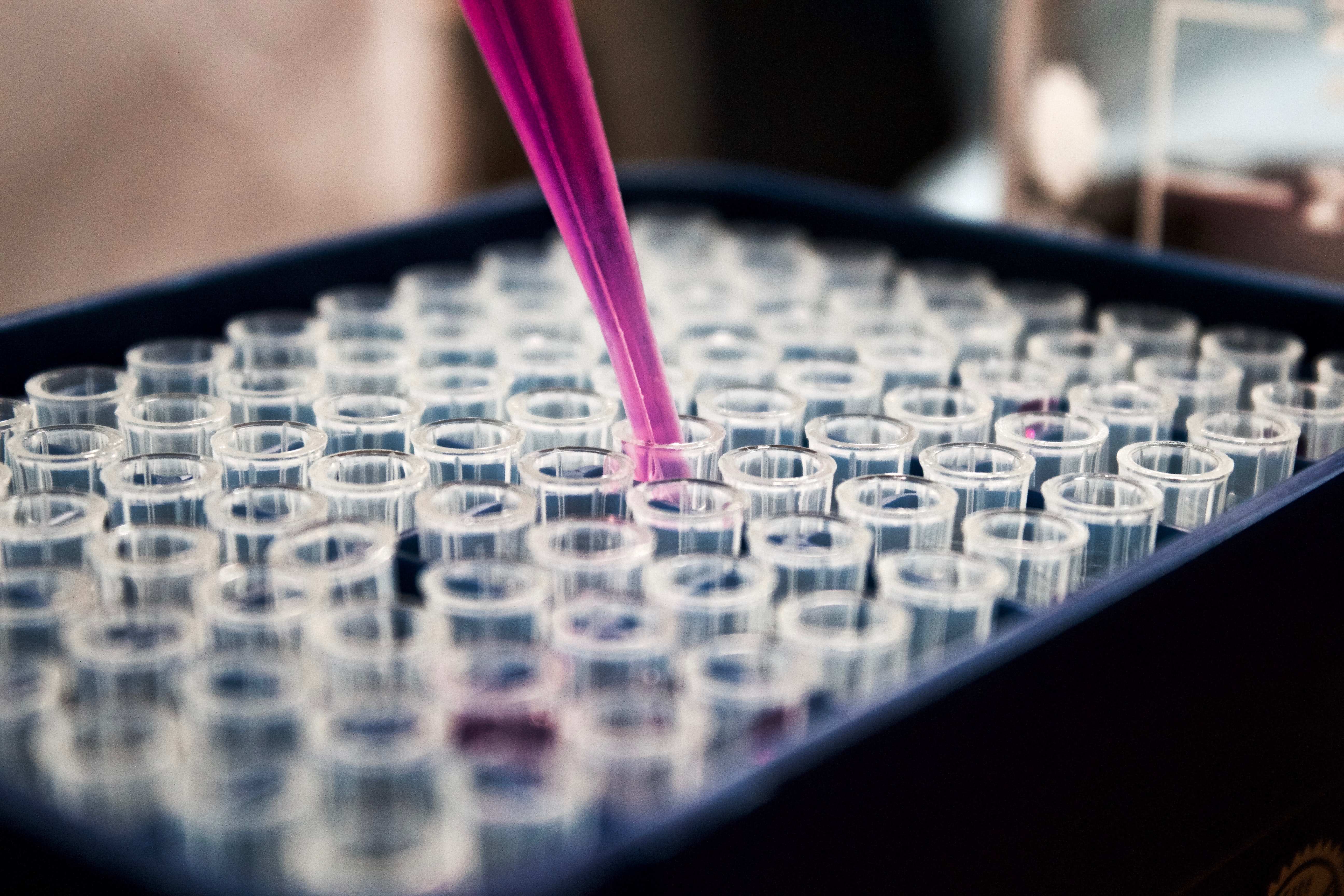 test tubes and a pipette with a pink liquid