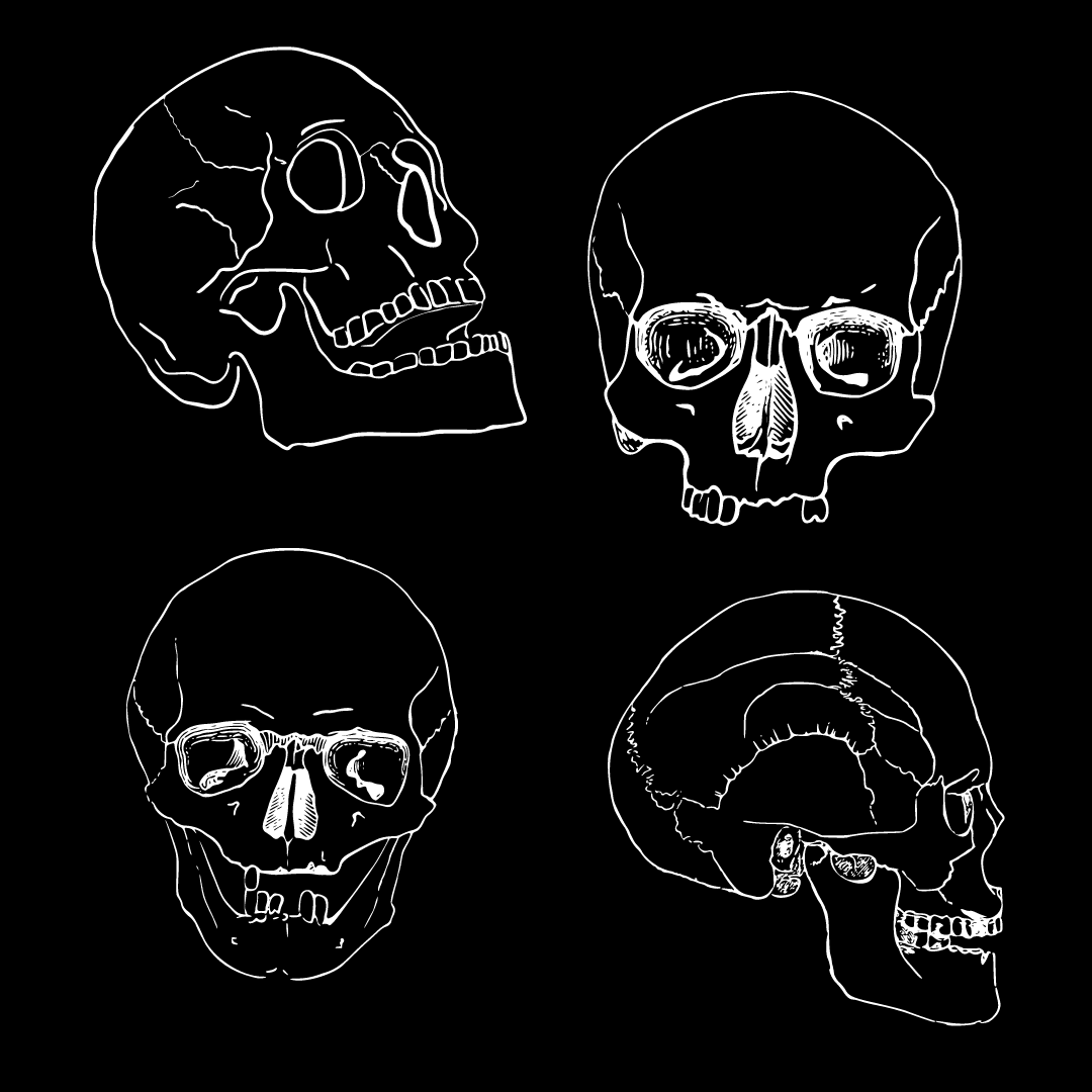 four skull on a black background