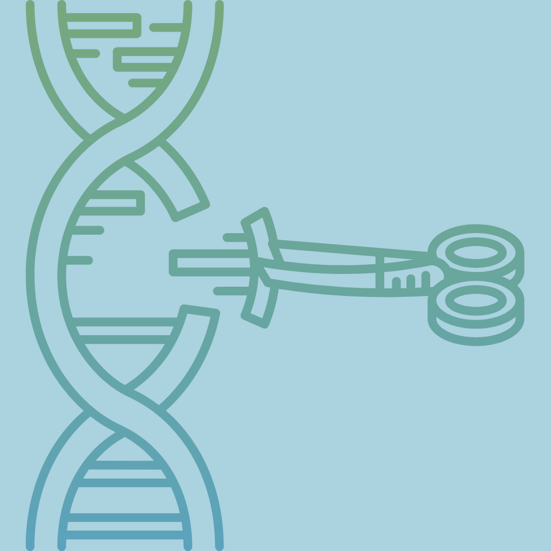 a graphic of crispr gene editing