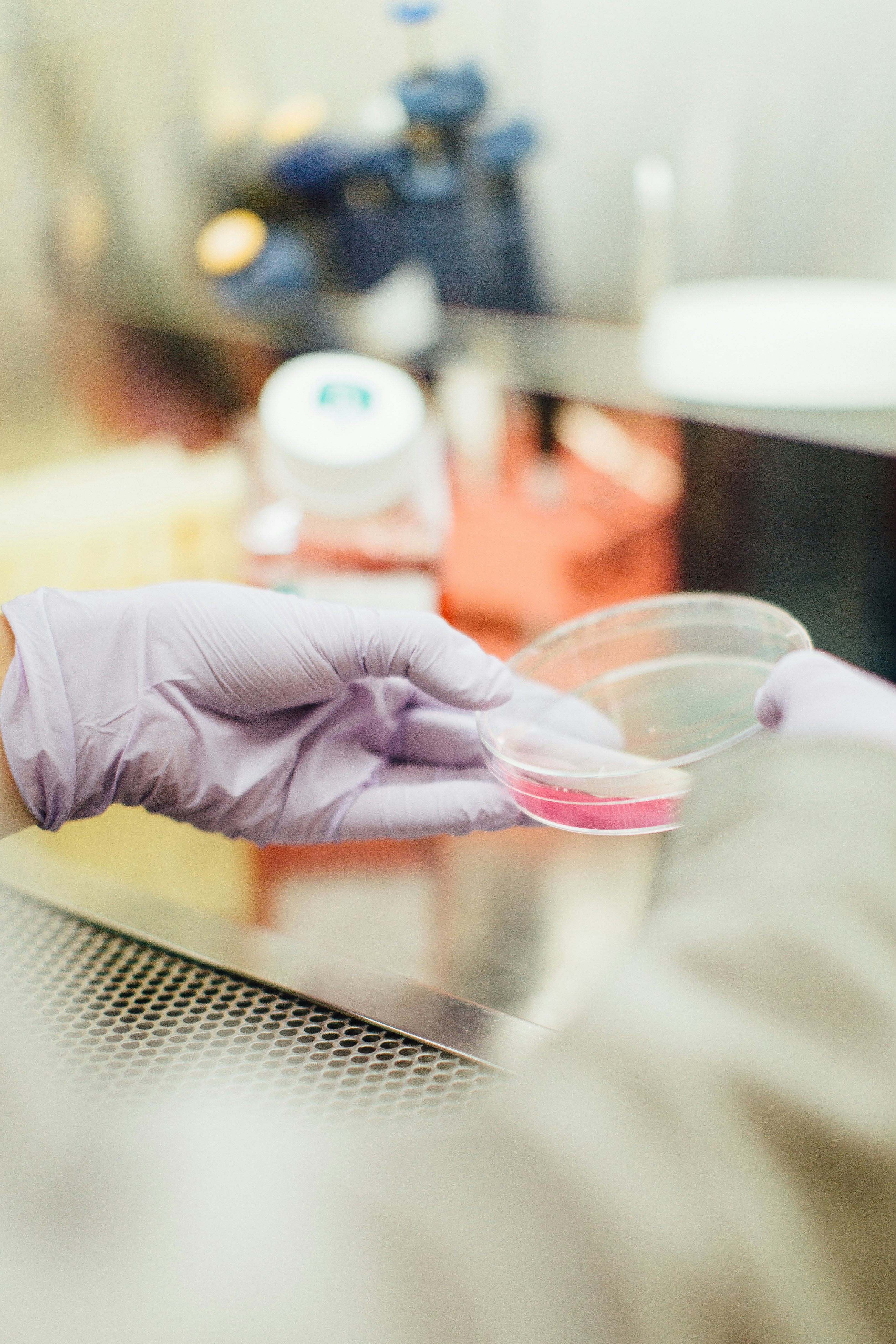 a photo of a gloved hand handling a Petri dish in a laboratory 