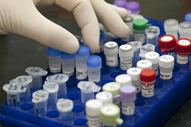 Several labeled test tubes are positioned on a rack, with a person's hand reading for one. 