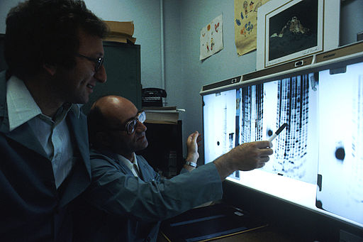 Two male scientists view a DNA sequence 