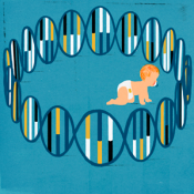 Baby crawling within a DNA fence