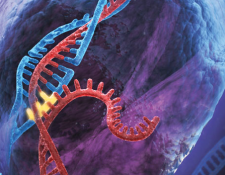 Cartoon image of crispr