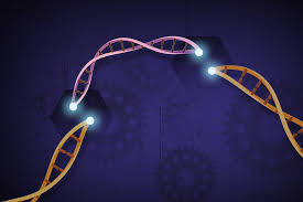 Artistic rendering of DNA being severed by CRISPR