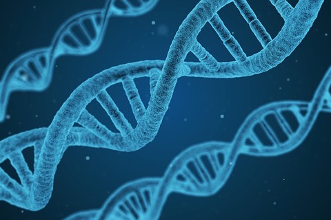 Digital illustration of DNA; painted blue on a darker blue background. 