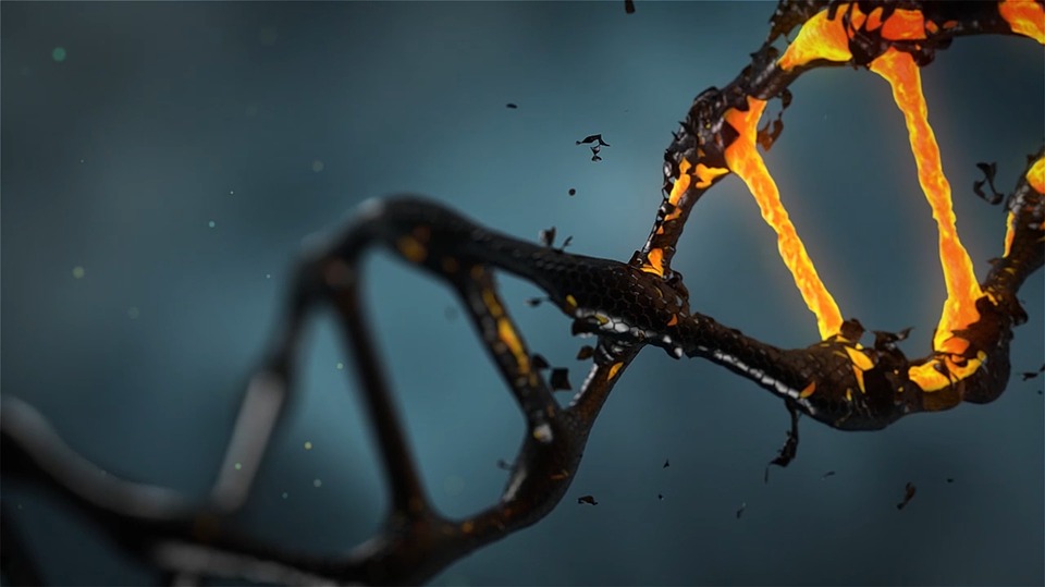 Picture of DNA