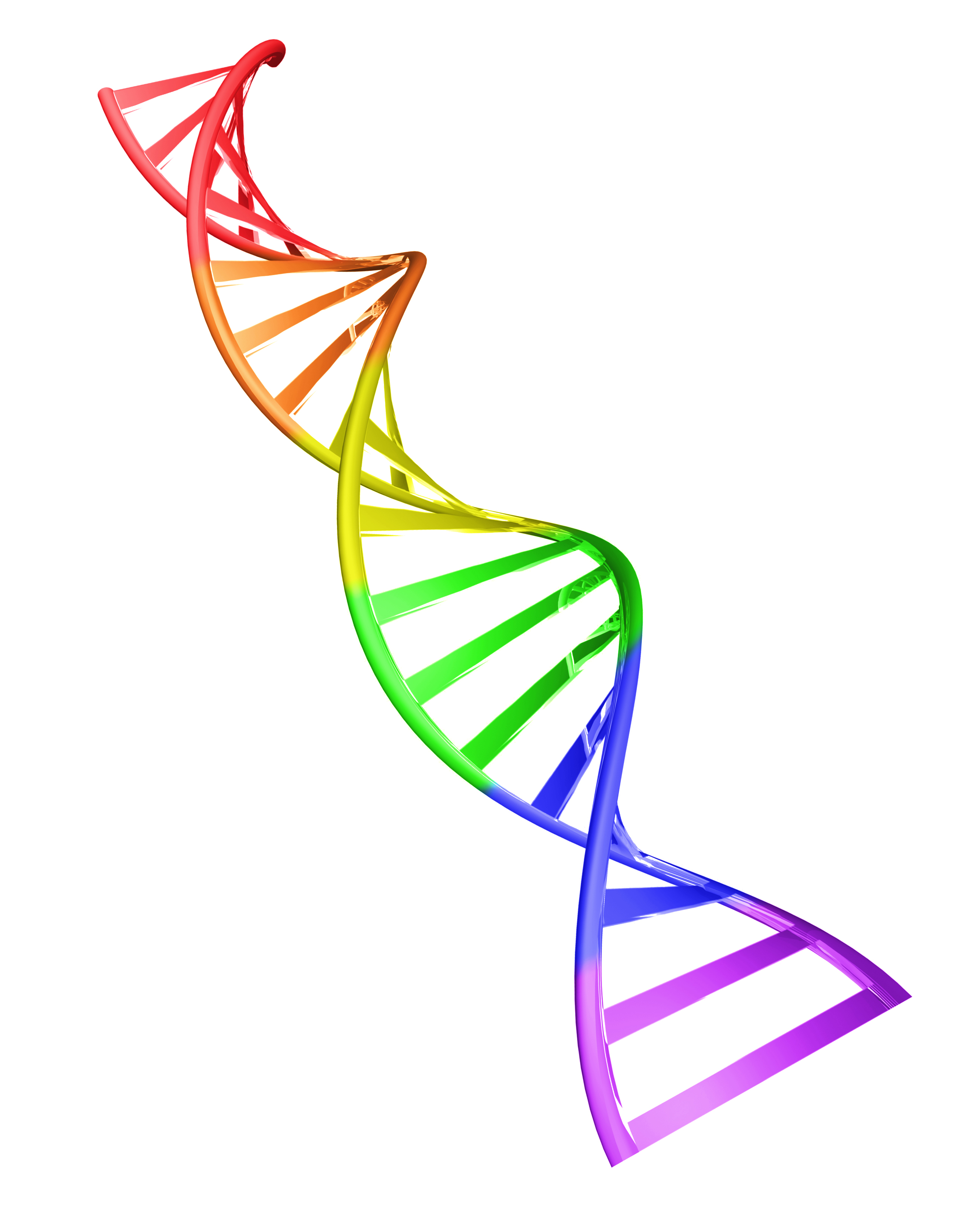 a rainbow dna helix