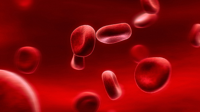 Red Blood Cells 