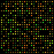 DNA Microarray