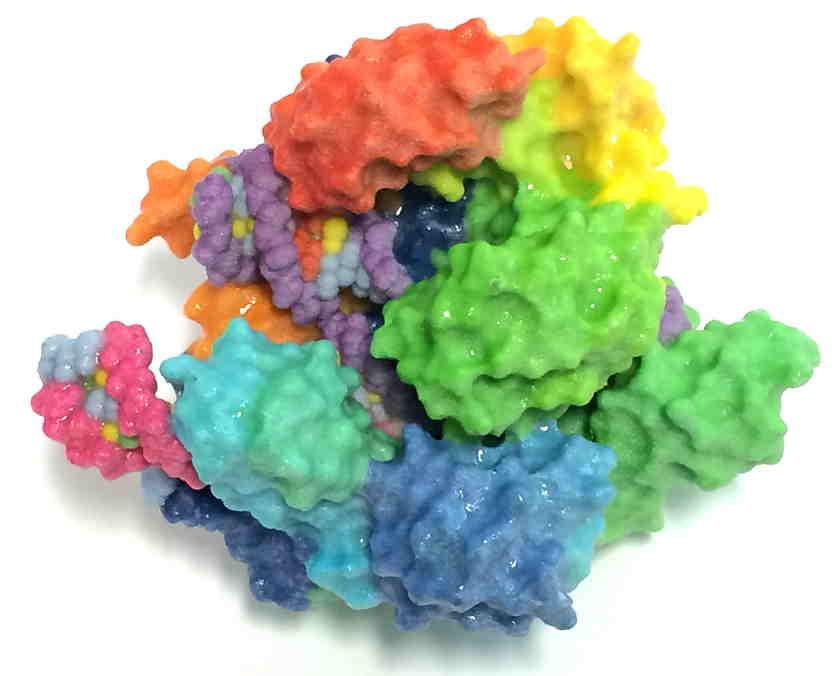 An image of Cas9