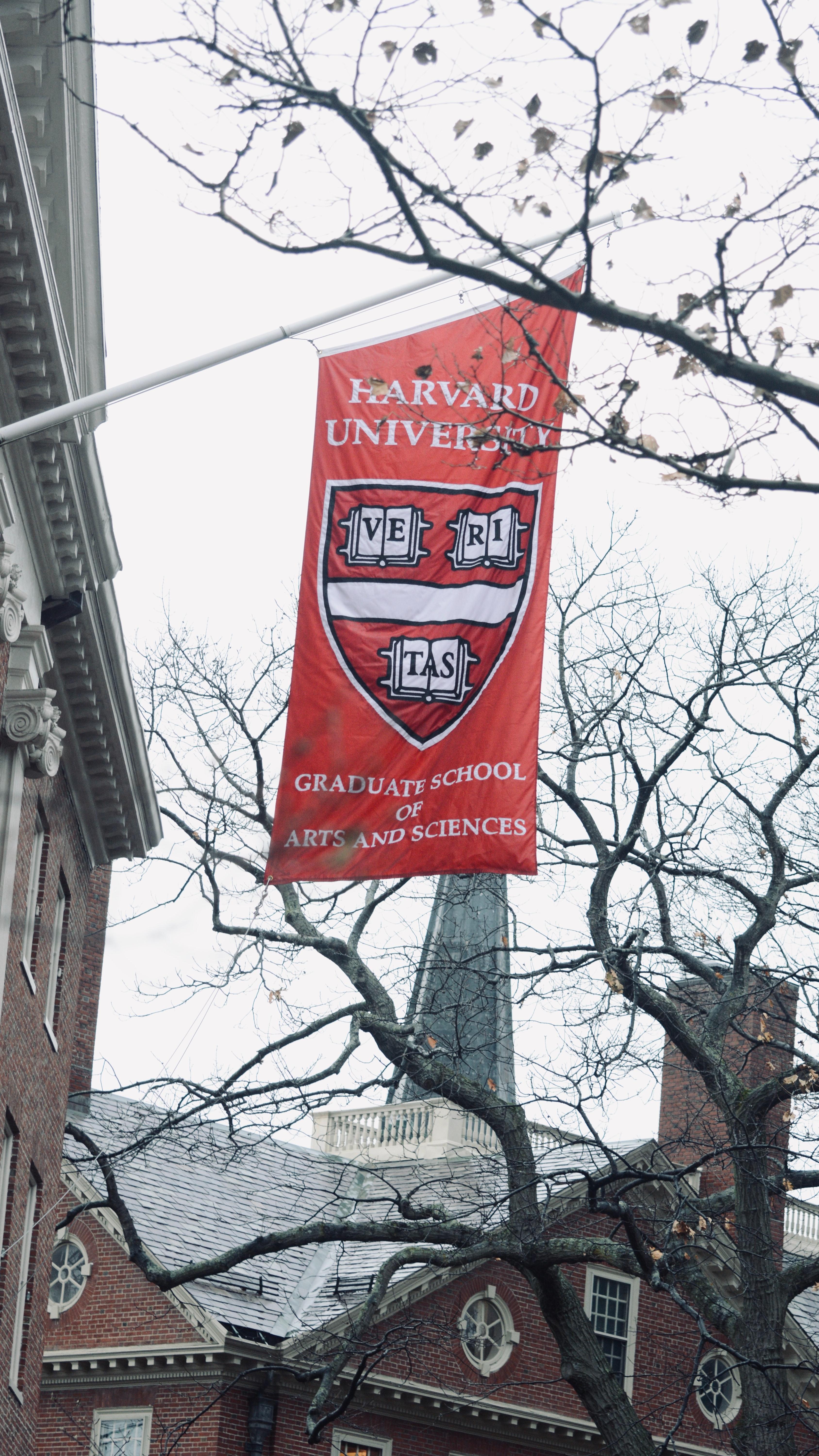 harvard university flag