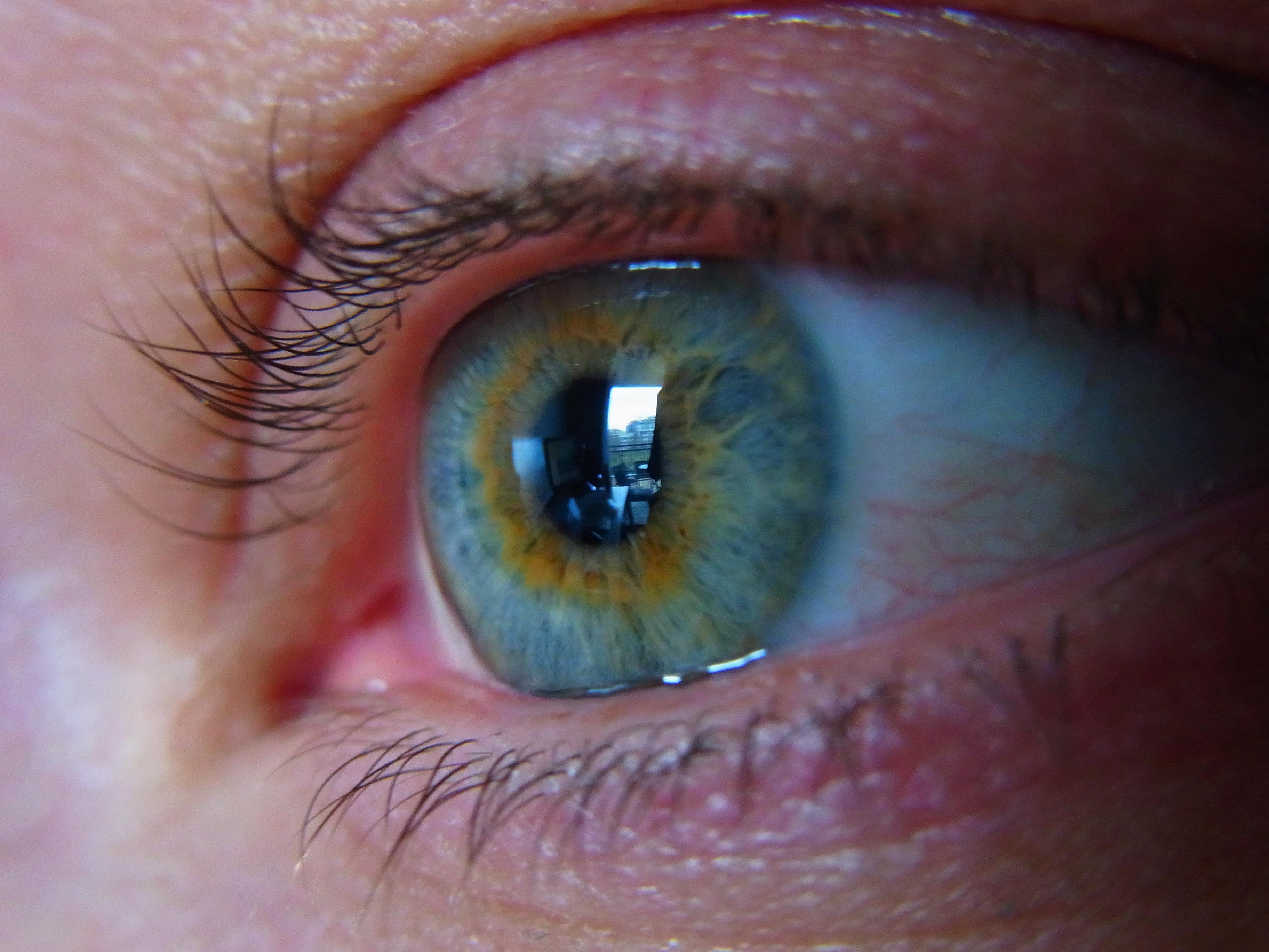 A close up of an eye.