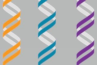 3 dna double helixes of 3 different colors