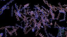 A bunch of DNA strands colored purple on a black background