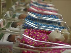 A row of babies in hospital cots swaddled in pink and blue blankets