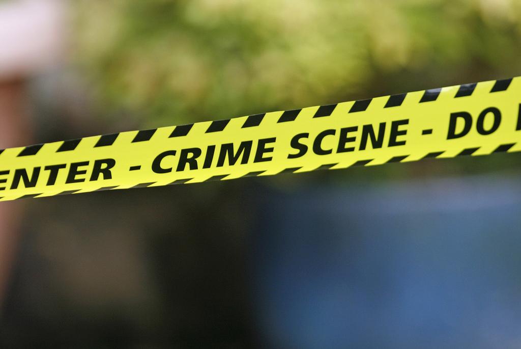 Yellow Tape across a blurred image of a tree with black stripes and the word "CRIME SCENE" written across it.