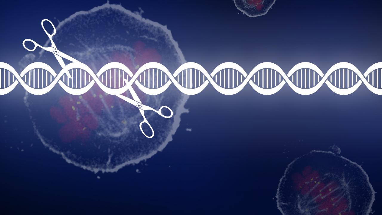 Two pairs of scissors cutting a strand of DNA