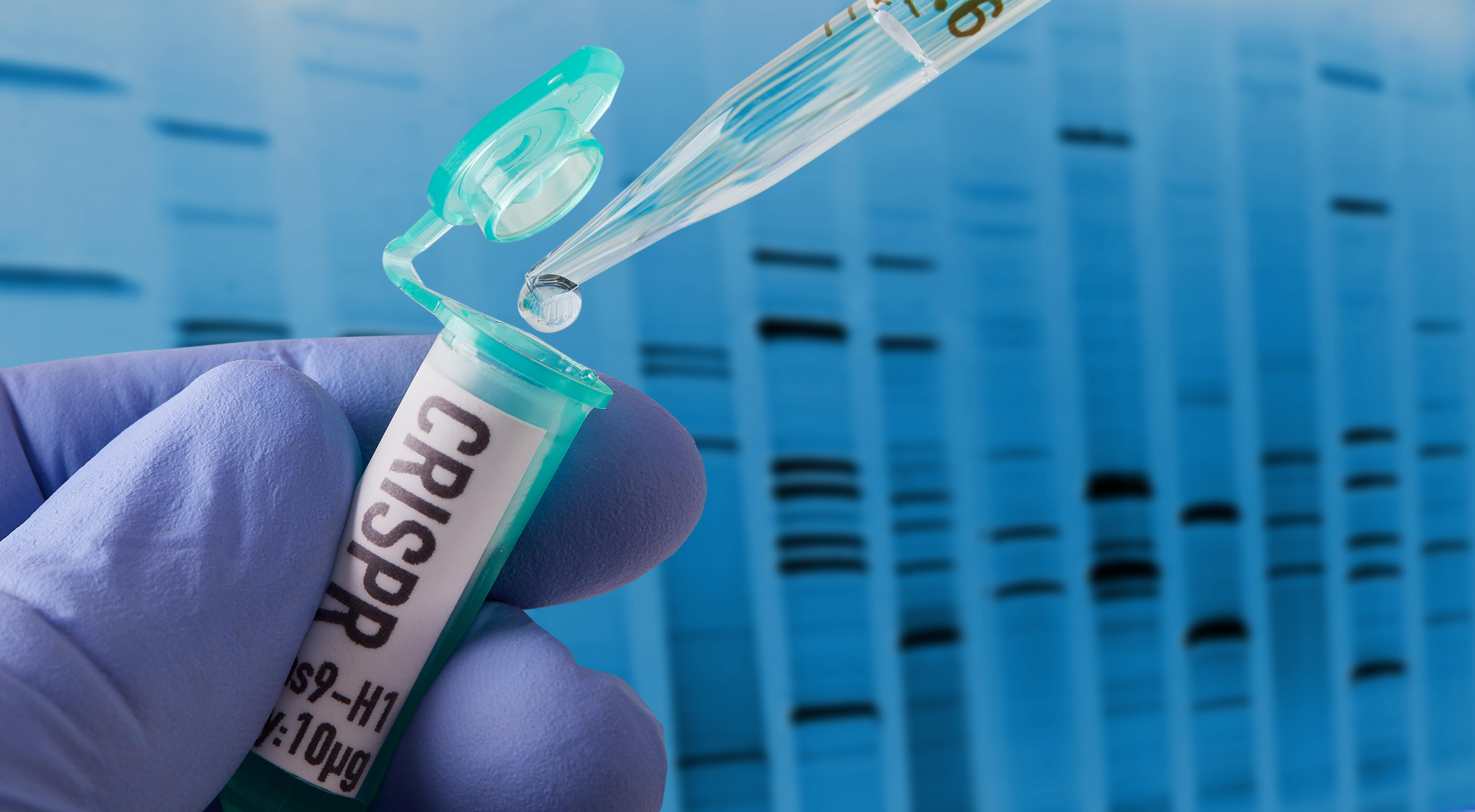 gloved hand adding pipetting material into a vial labeled CRISPR