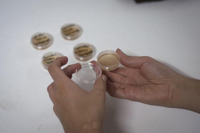 A pair of hands holds a small dish filled with gel, out of focus, hand-labeled jars on the table