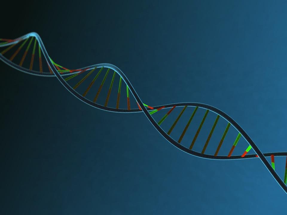 DNA strand