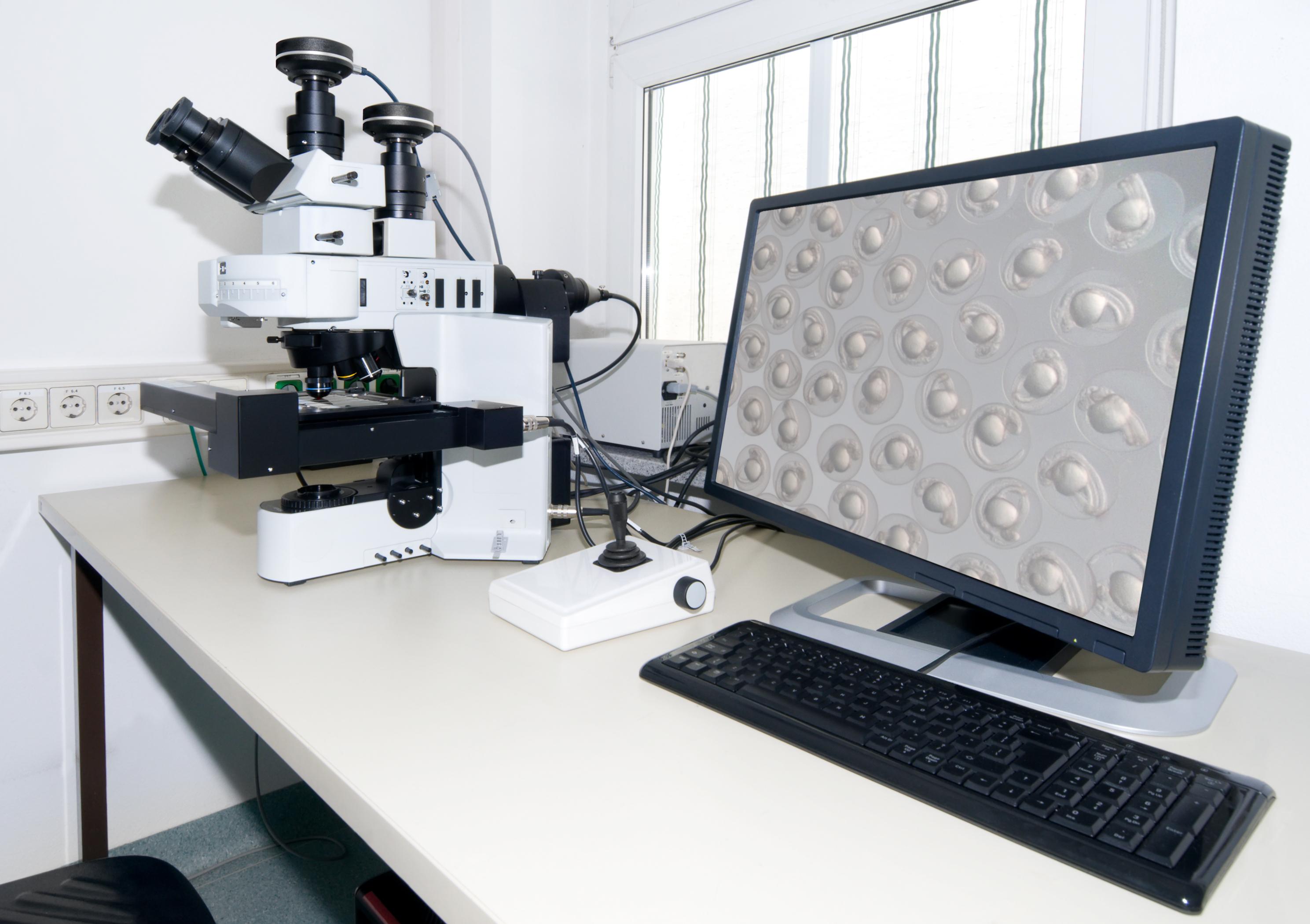 embryos on a monitor next to a large microscope