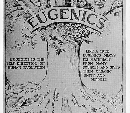 Eugenics tree