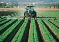 a tractor amongst rows of crops