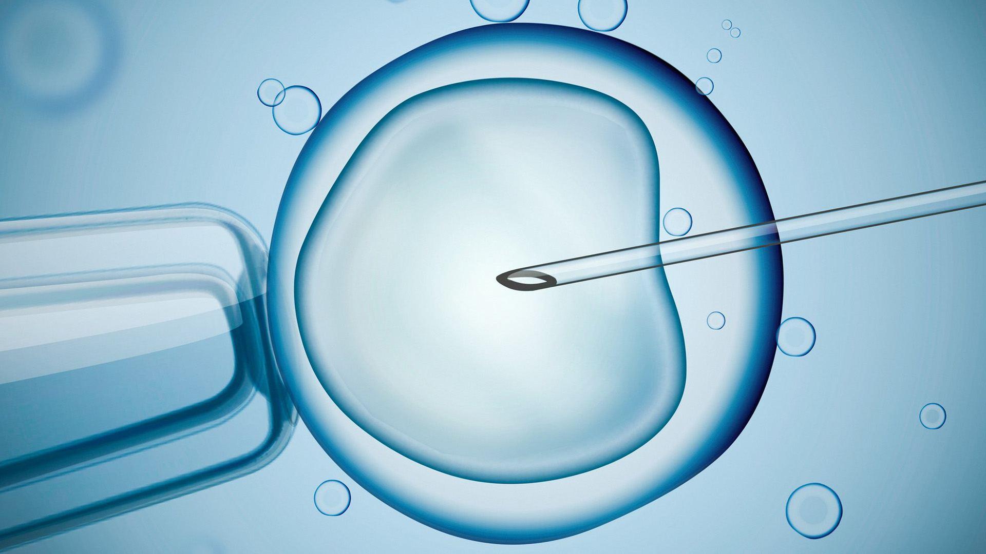 Process of IVF--blue egg being injected on blue background