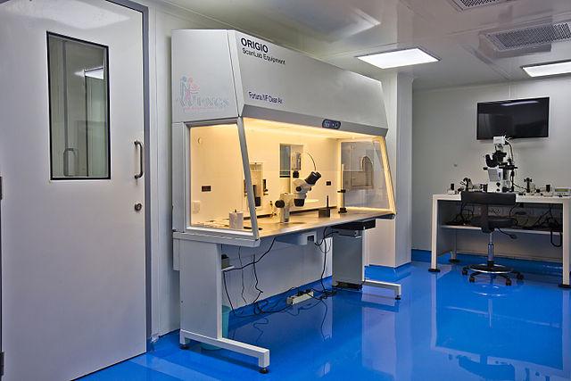 Image of a lab