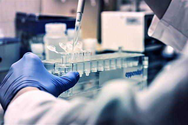 Technician working with test tubes