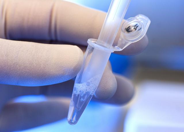 Test tube pipette held in the hand of a scientist.