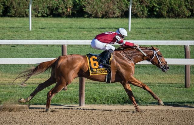 Racehorse and jockey