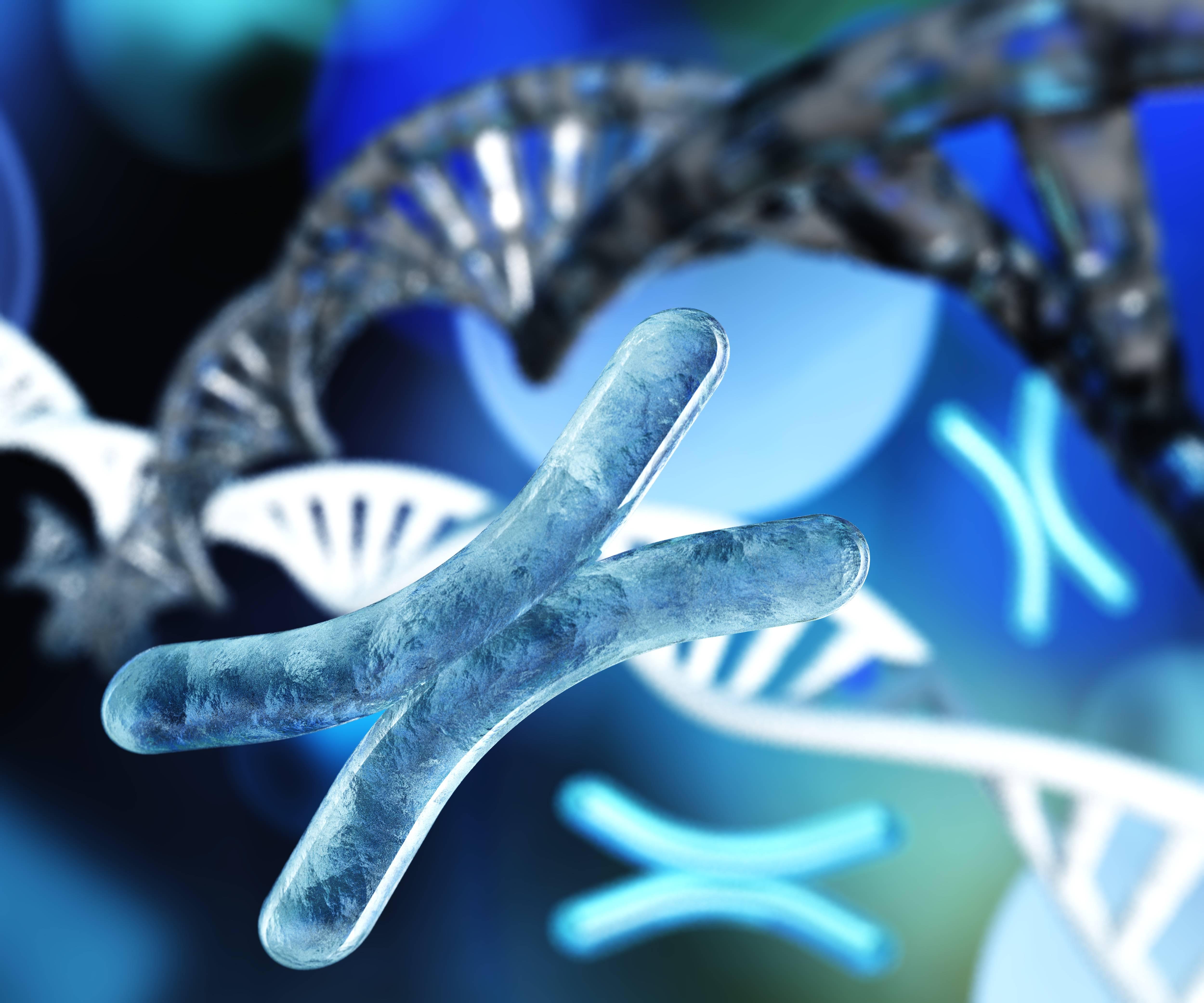 X chromosome against the background of DNA