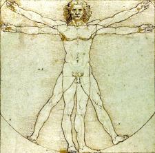 Vitruvian drawing sketch.