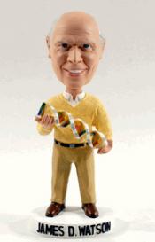 Bobble-head of James Watson holding double helix model in hands.